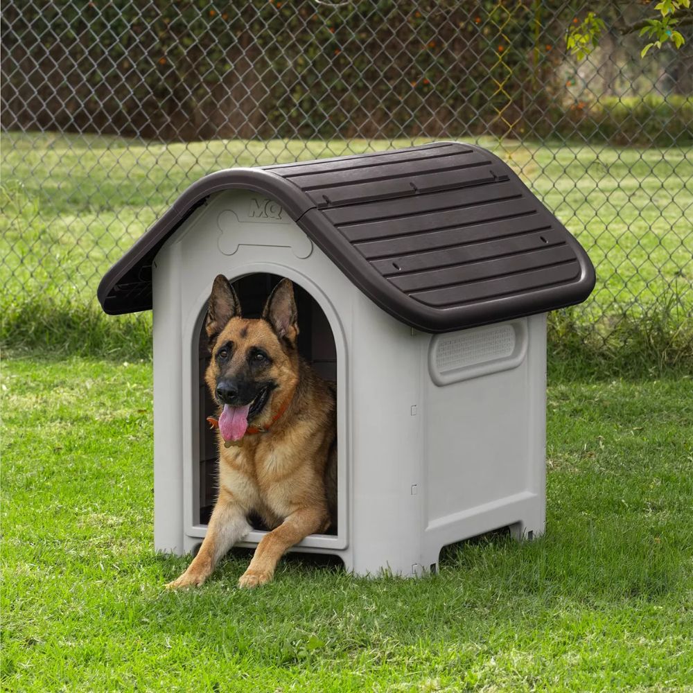 DOG HOUSE XL WENGUE MQ